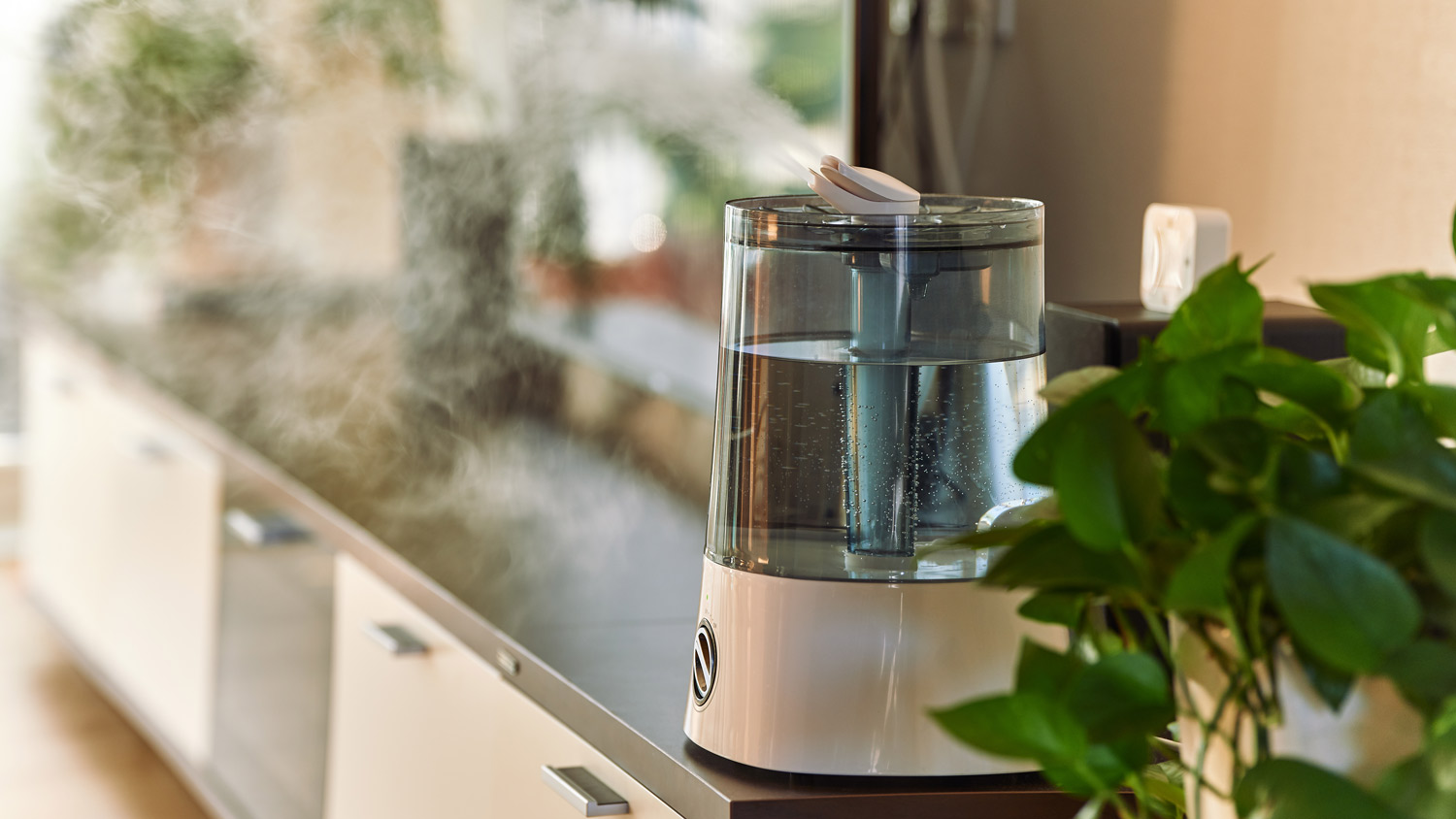 Cool mist humidifier in a living room