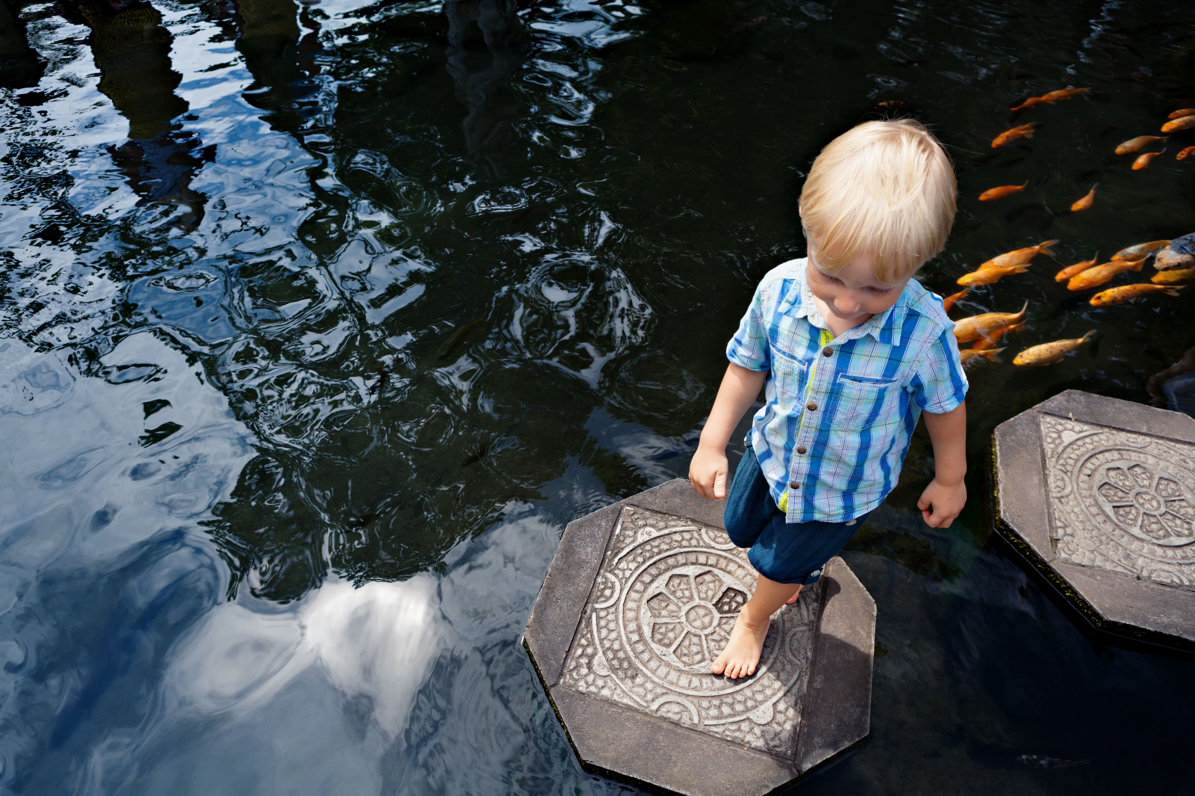 A young boy using stepping stones to walk across a koi pond