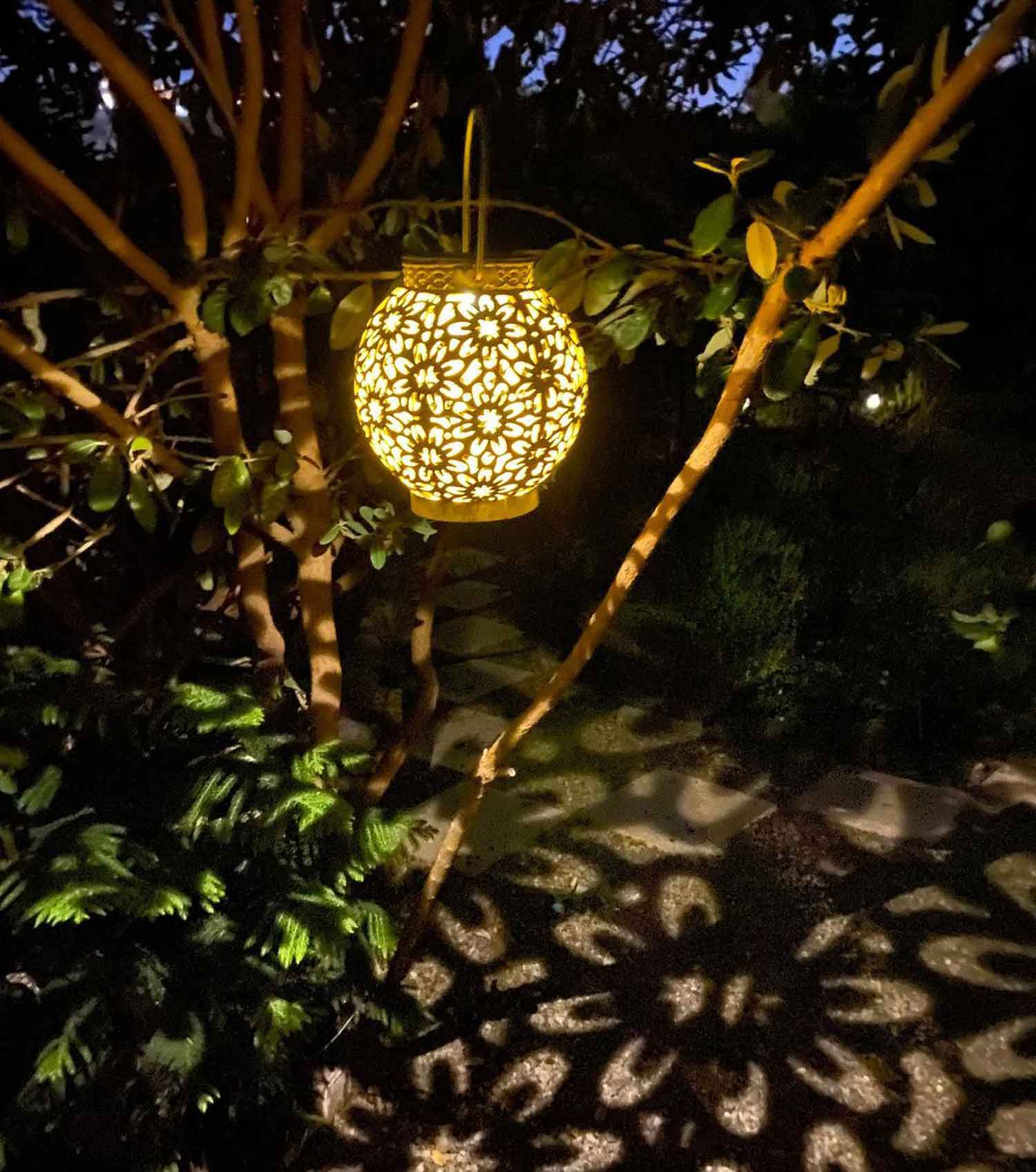 Lantern light hanging from a tree