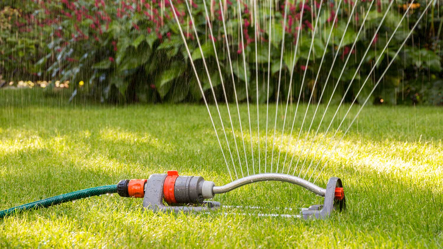 Closeup of a sprinkler watering the lawn