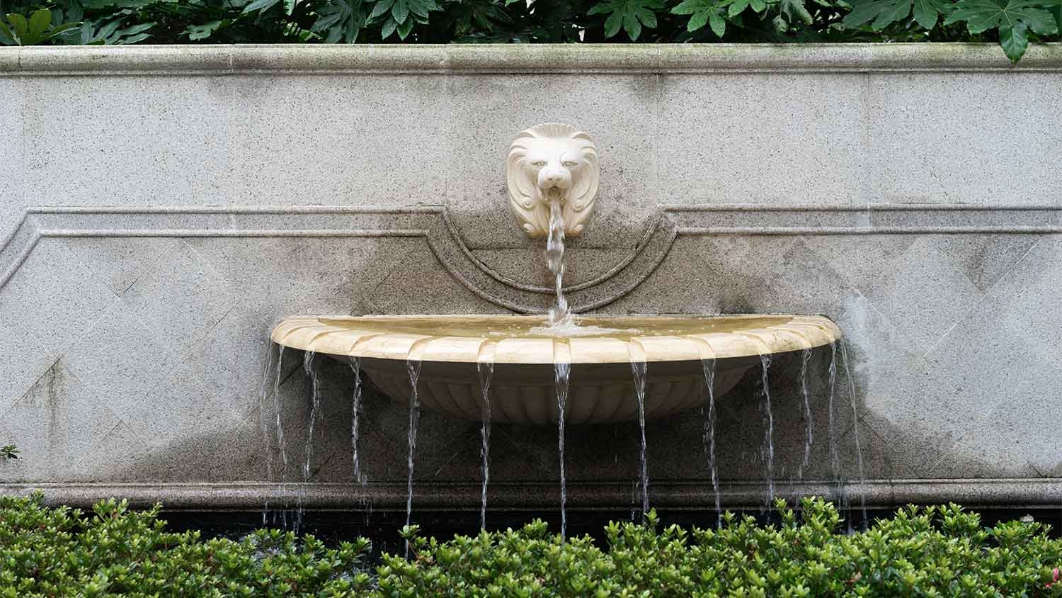 Lion head fountain