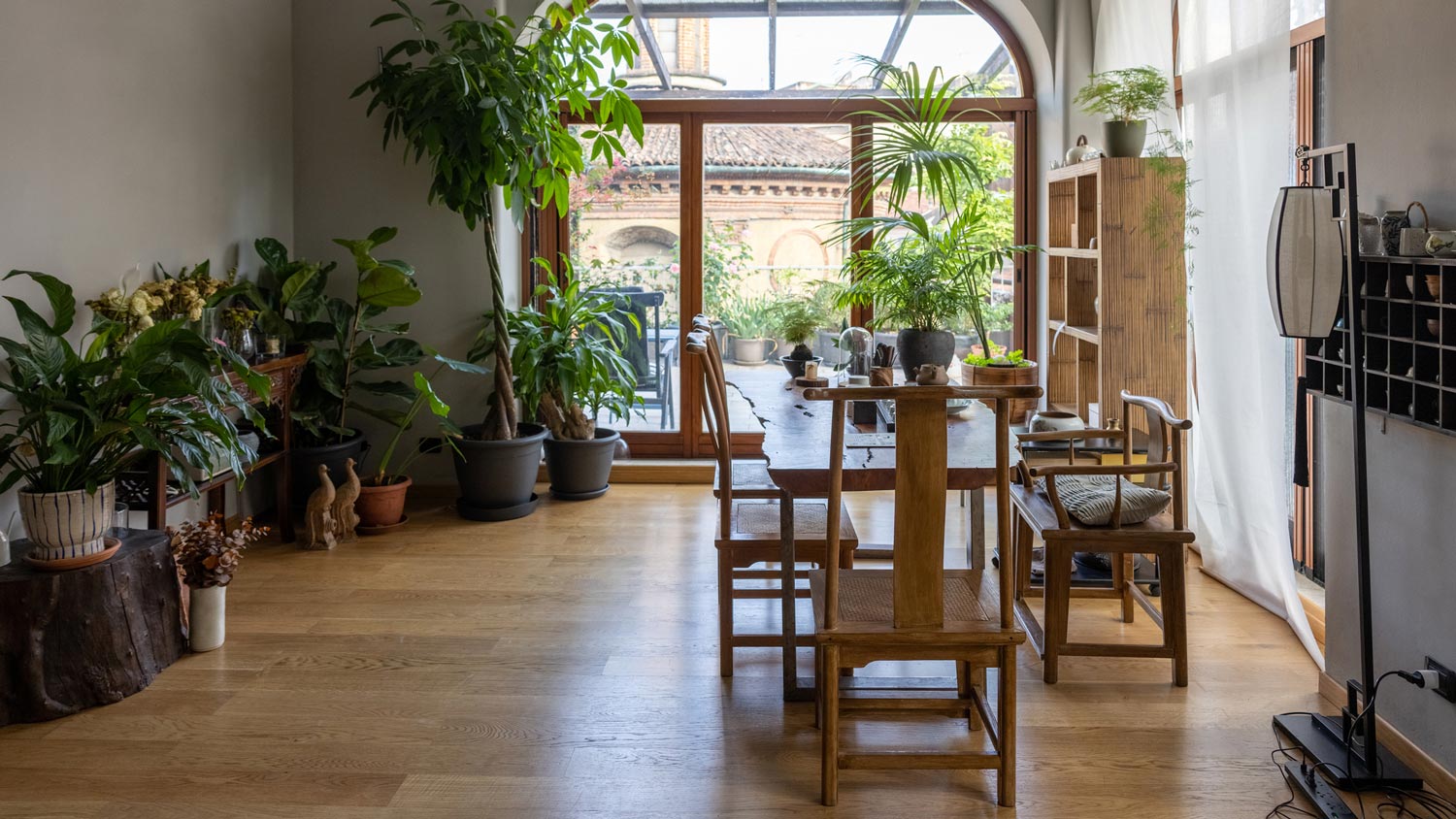 A living room with wooden floor and lots of houseplants