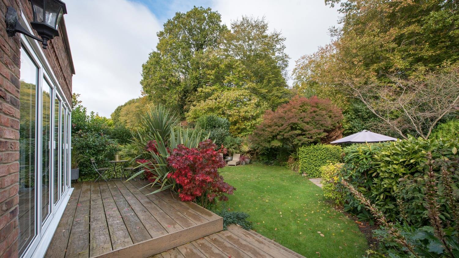 A lush garden in the backyard of a house