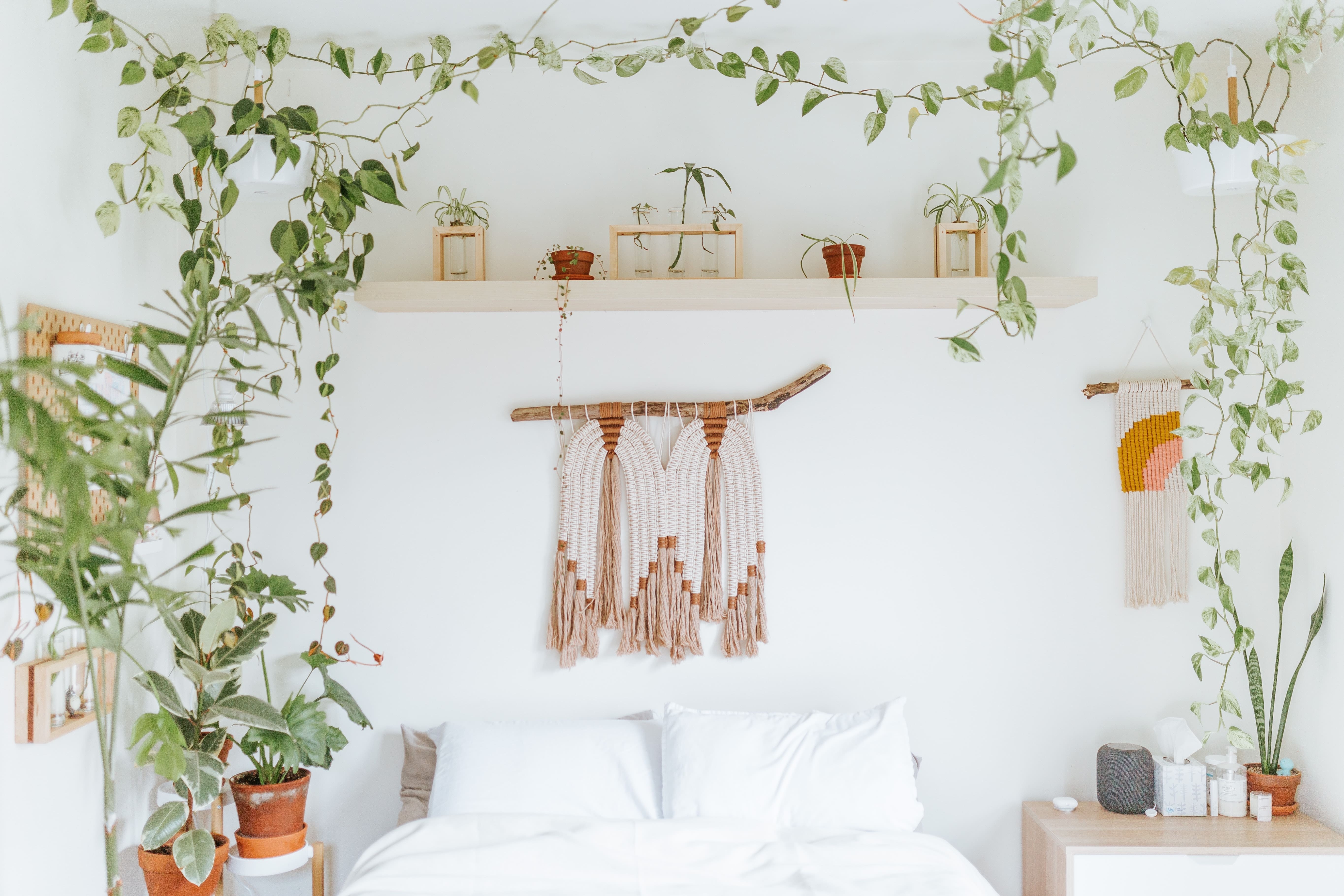 Shelf and tapestries on a white wall framed by vines