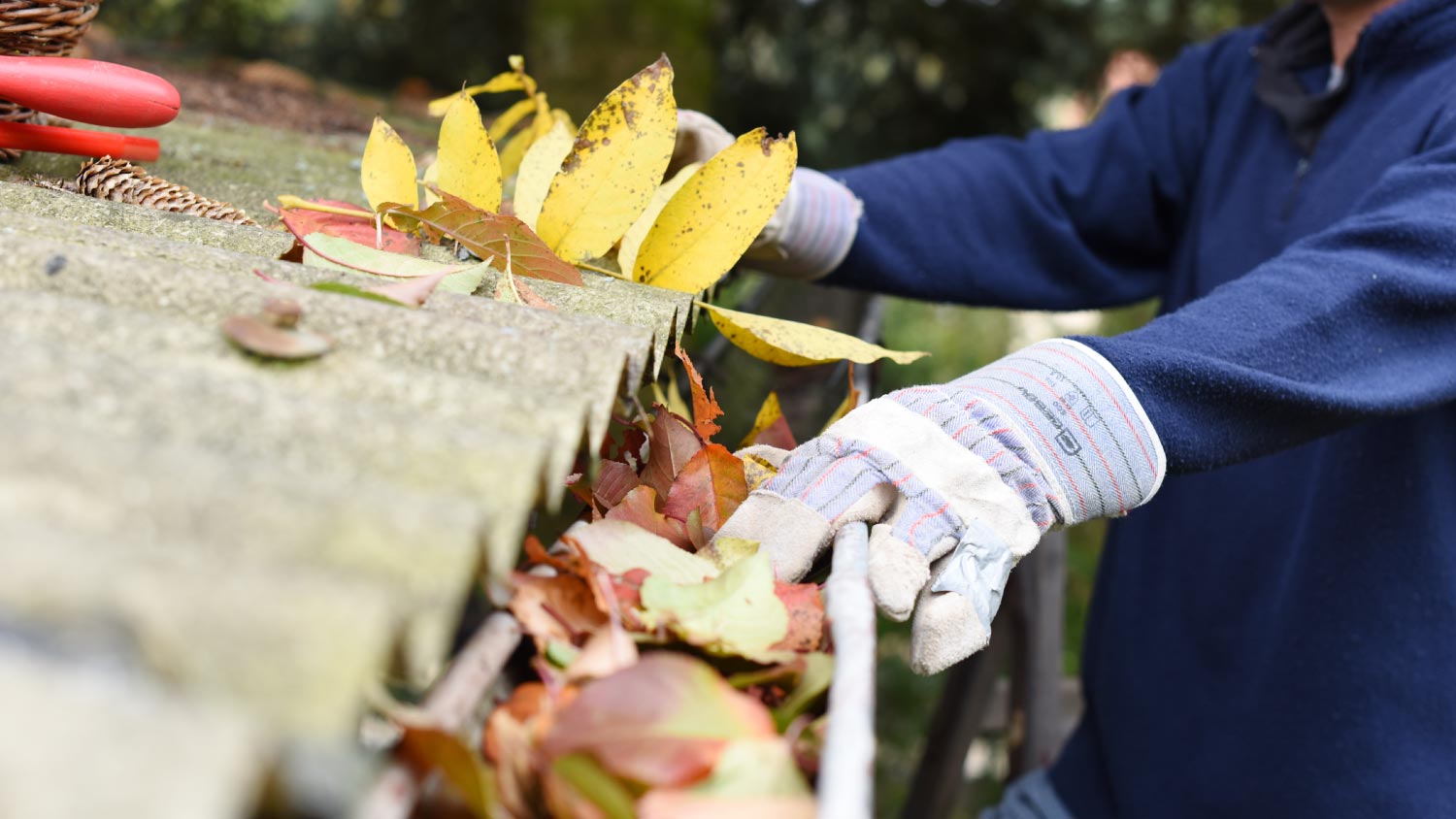 A man cleaning gutter blocked with autumn leaves