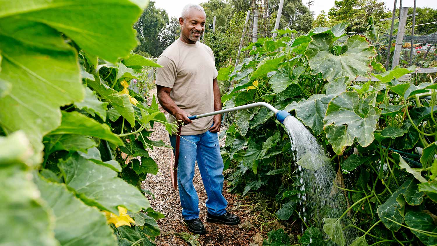 Man water garden with hose