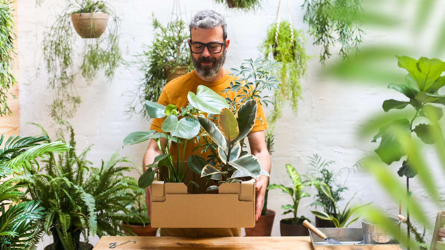 A man holding a moving cardboard box filled with plants