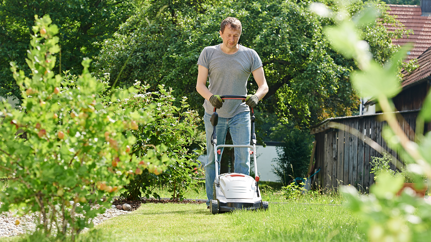 man mowing grass in backyard     