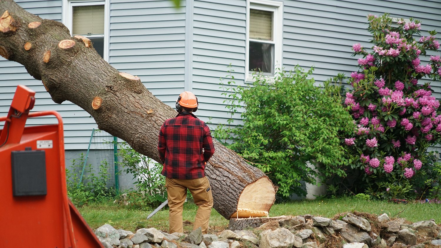 man removing tree from residential area