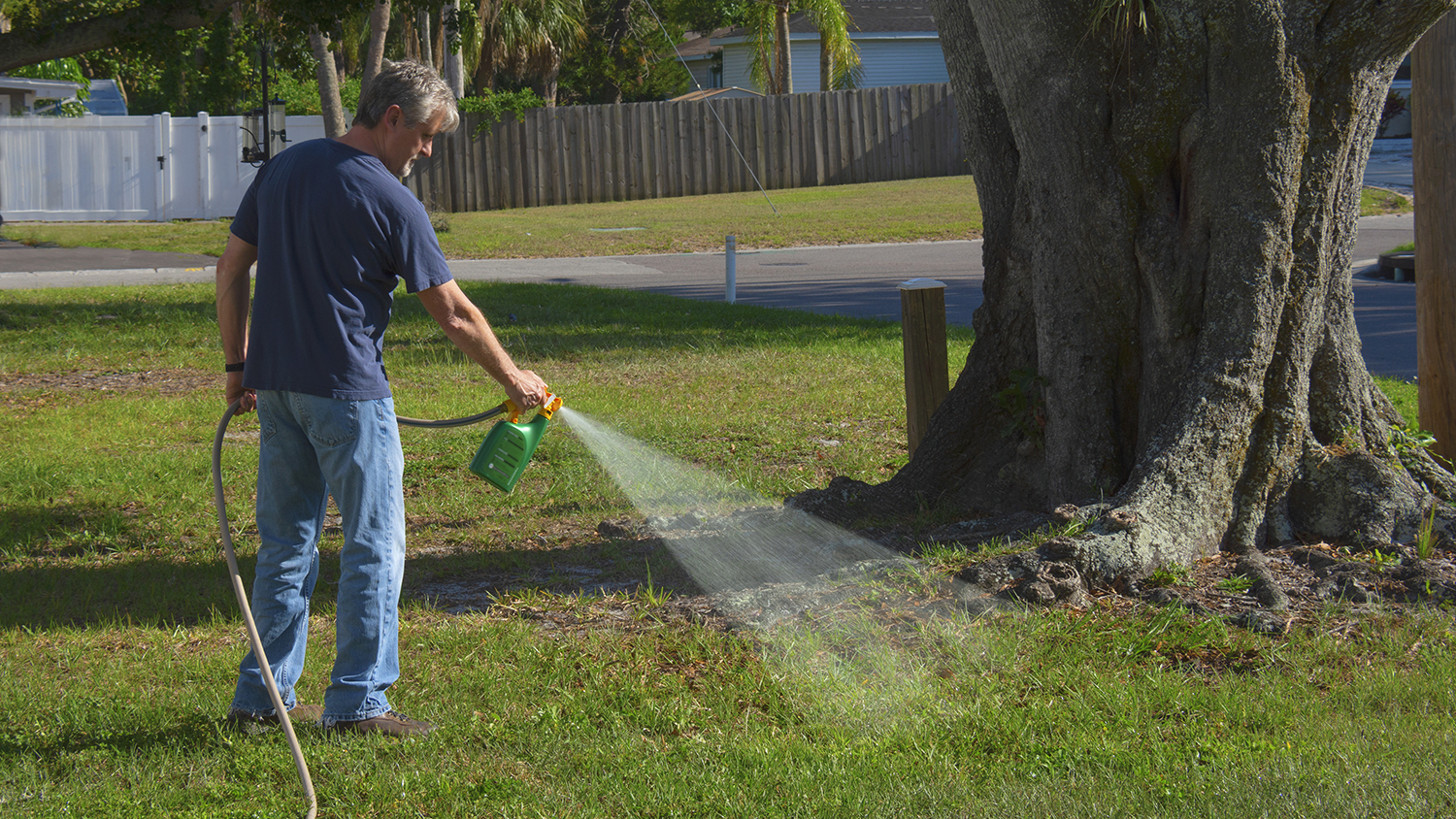 man spraying tree roots