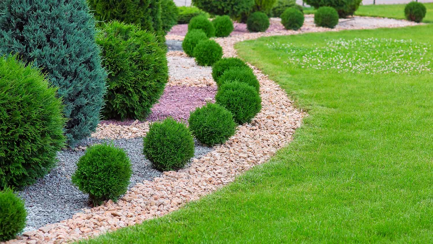 Yard plants lawn gravel