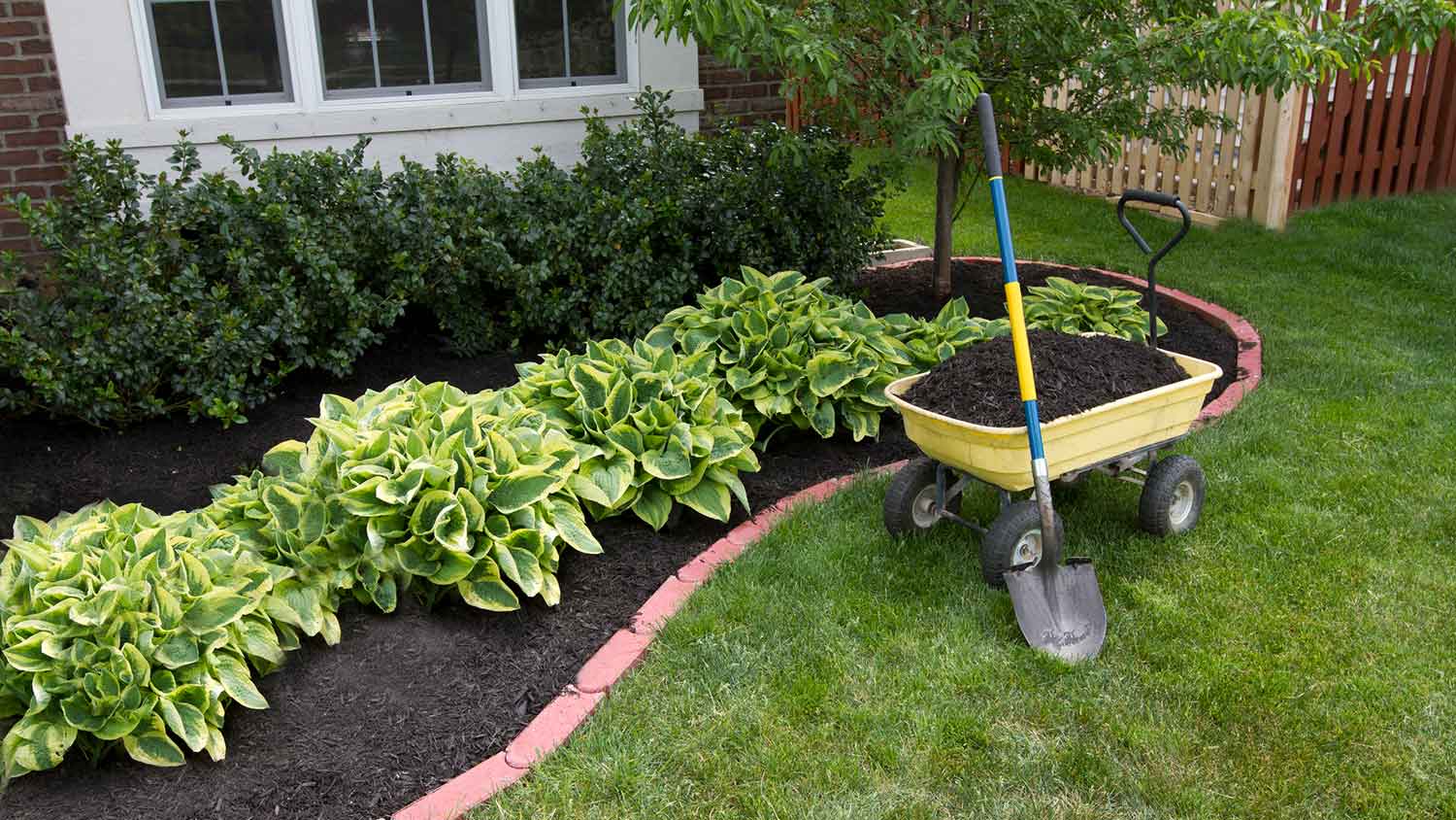 12 Types Of Mulch to Use For Your Landscaping Project