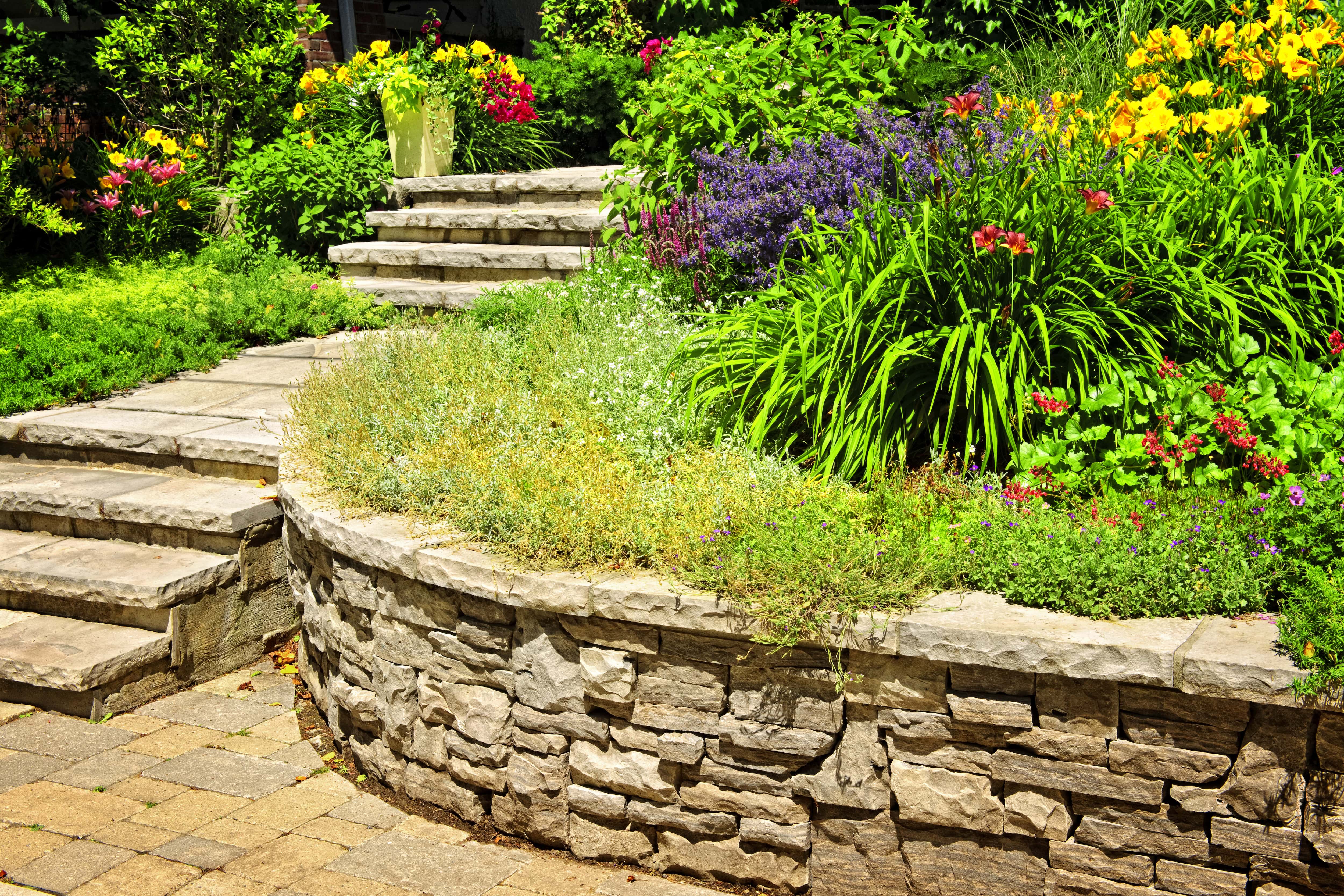 Retaining wall with flowers and stone steps in a backyard