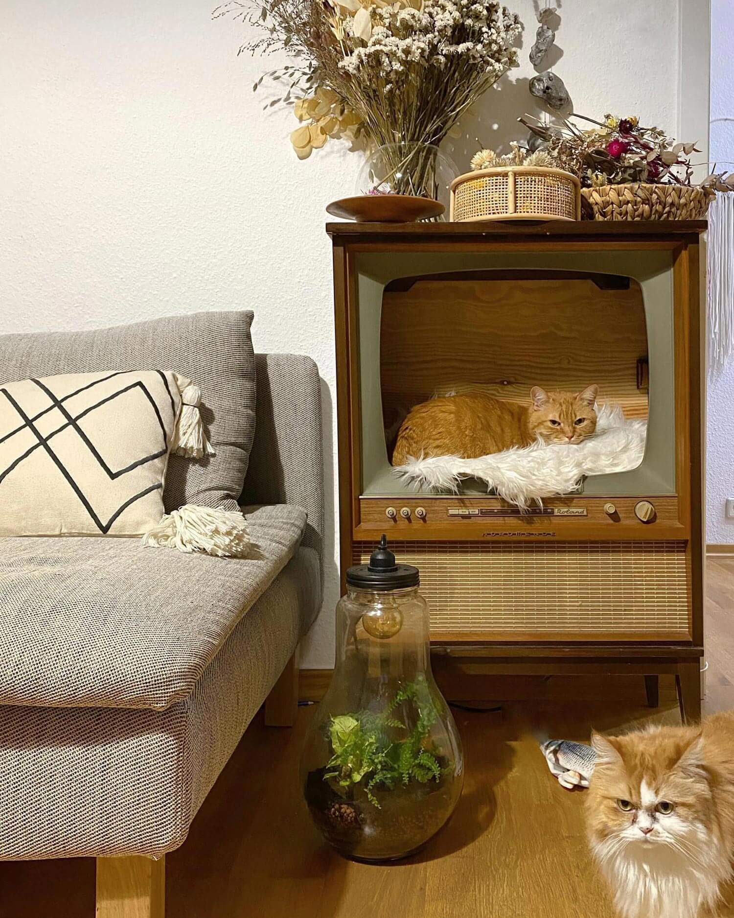 An old vintage tv turned into a cozy space for kitties