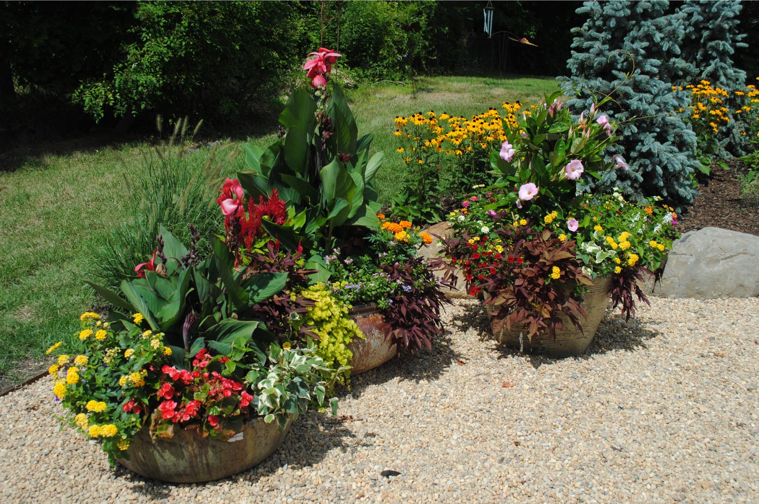 An outdoor plants