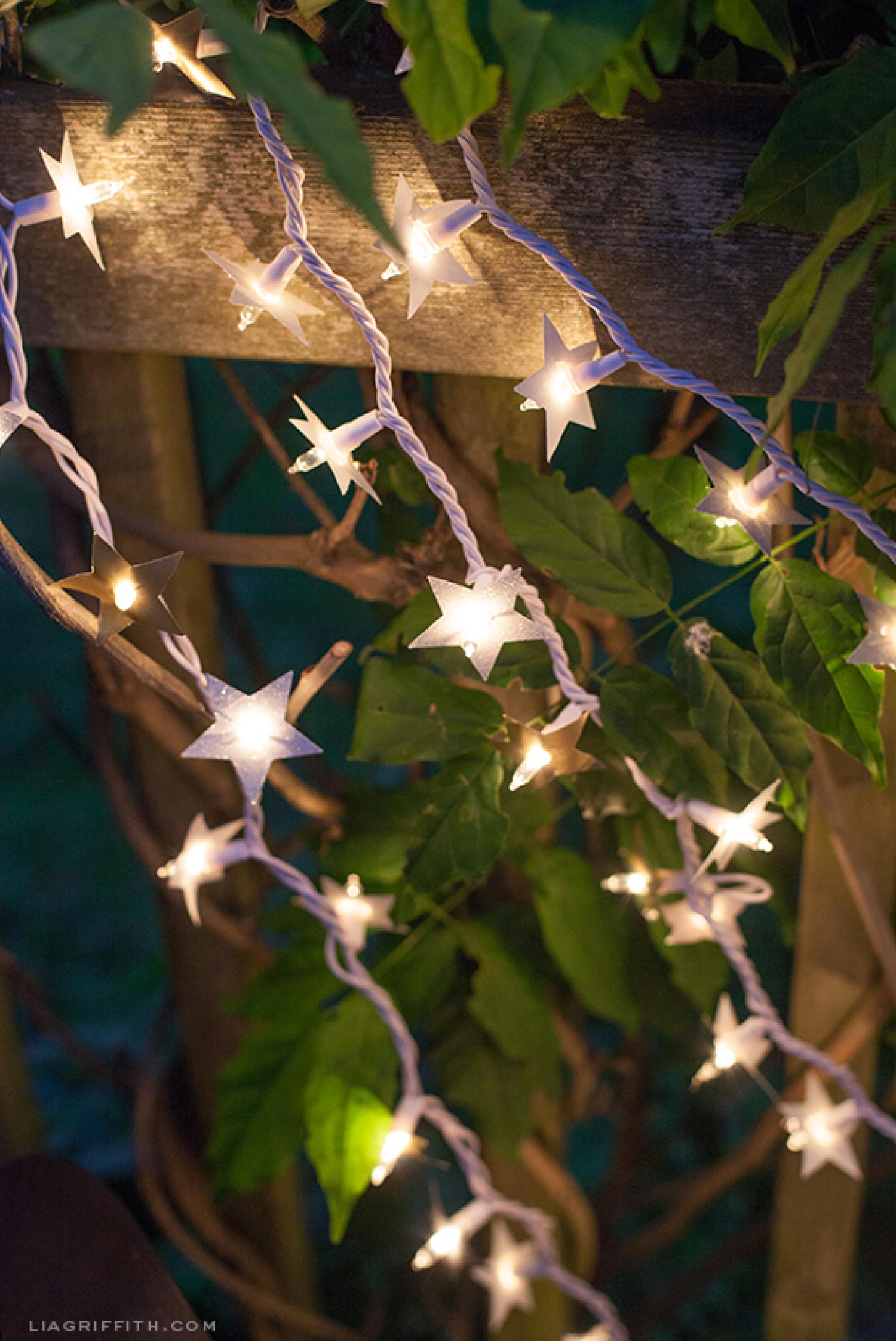 Custom outdoor star lights