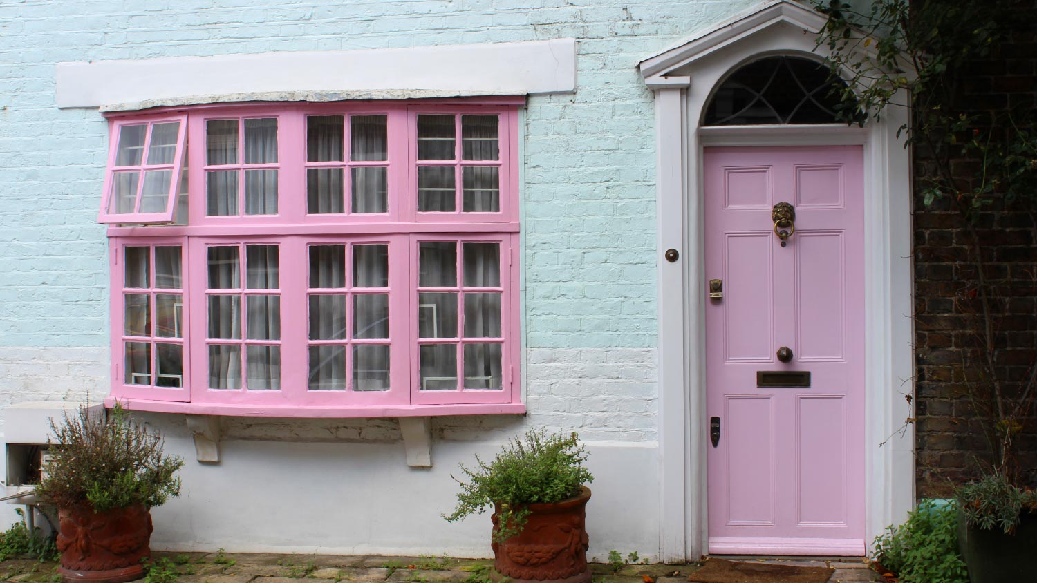 A pink door and window 