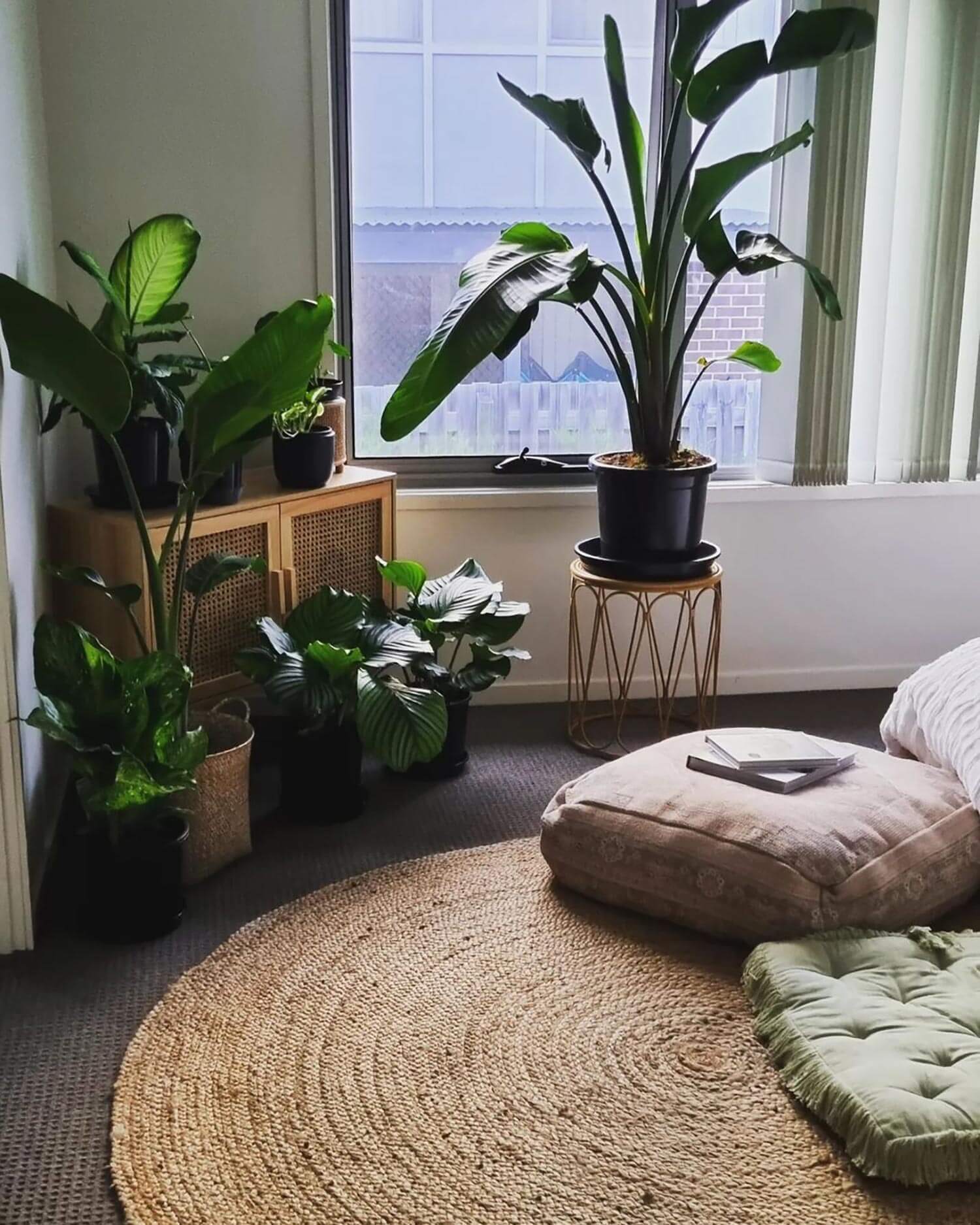 A plant focused bedroom corner with a vintage cabinet