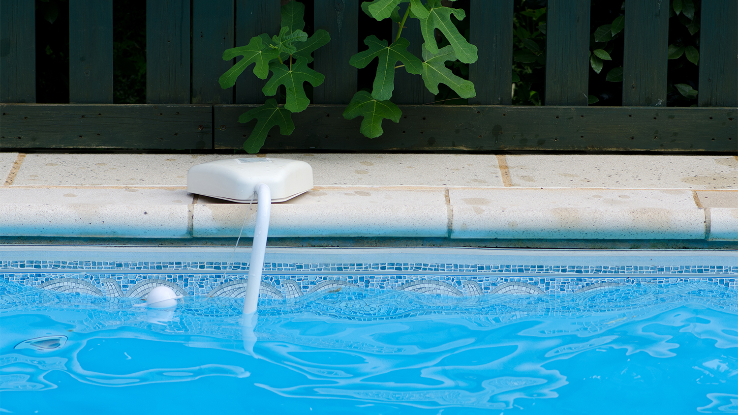 swimming pool with alarm in water