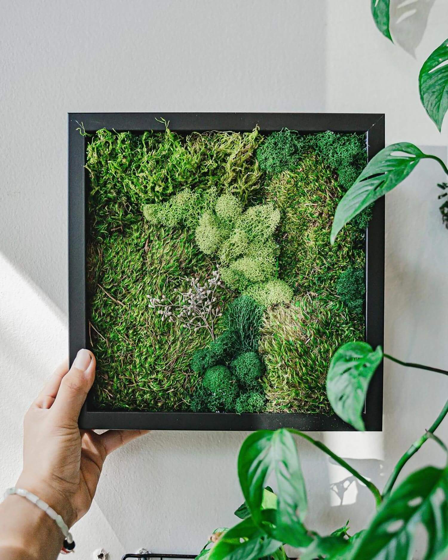 An art frame of preserved moss