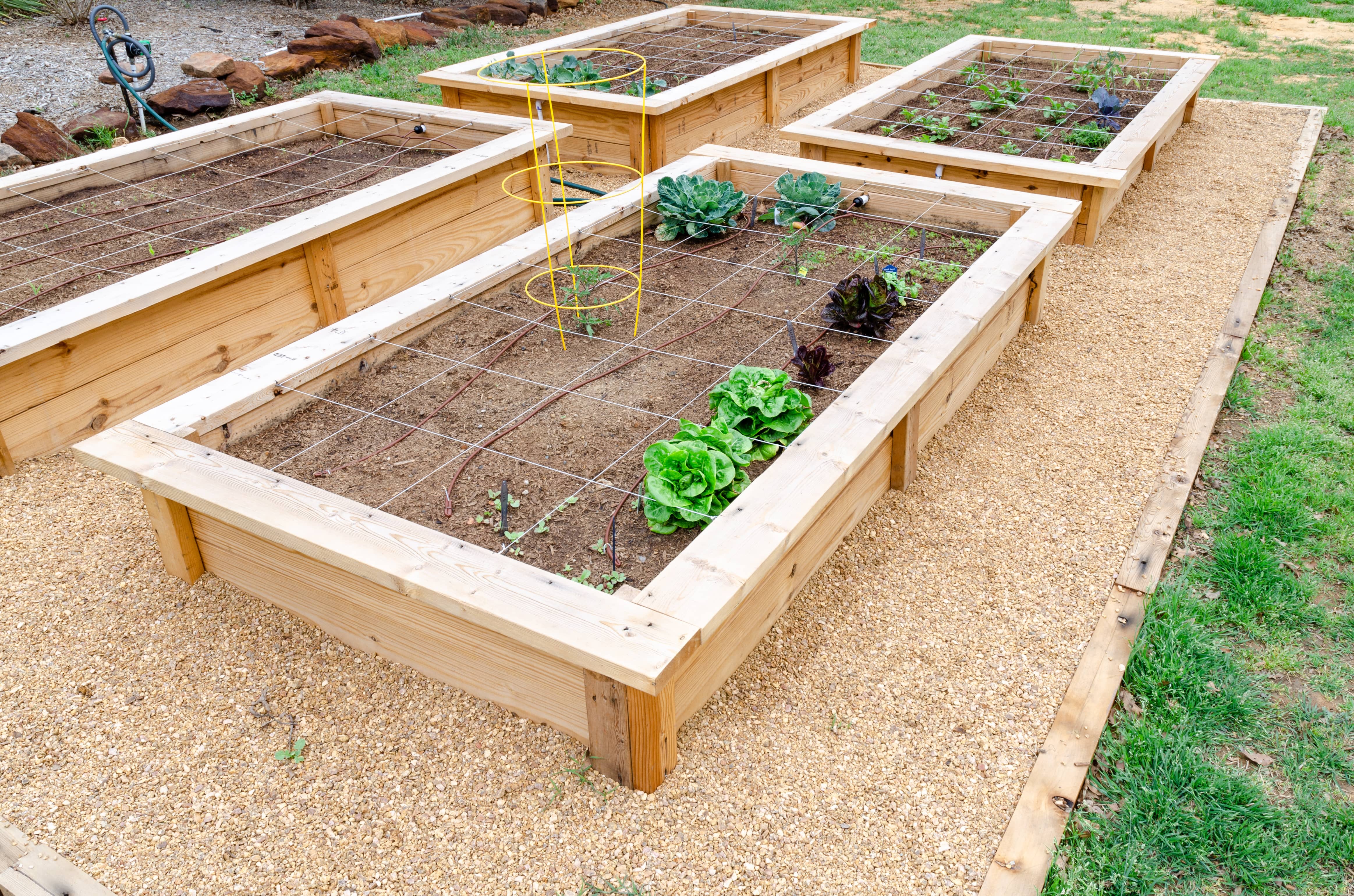 Raised wooden flower beds with a stone pathway in between