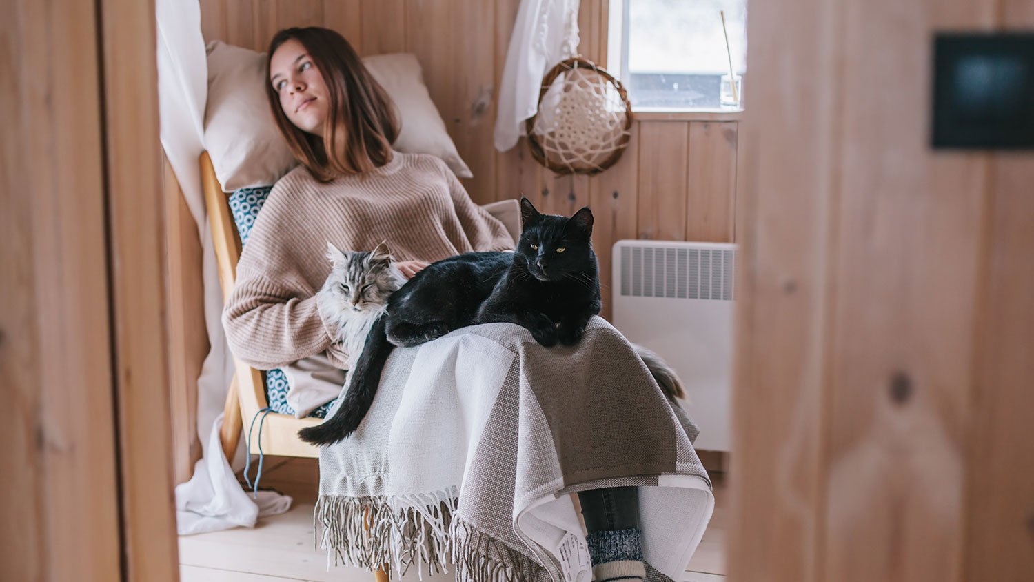 Sitting on a chair with cats on her lap