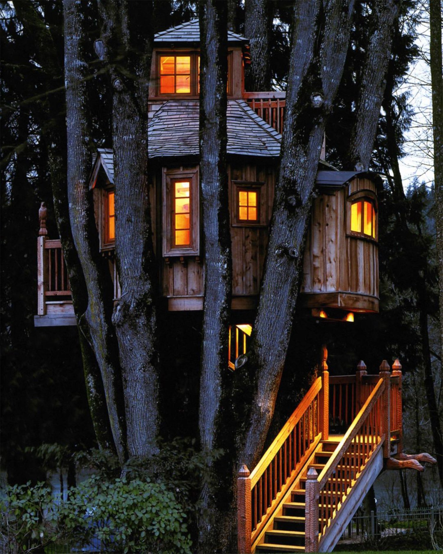 A Rustic Cabin in the Canopy