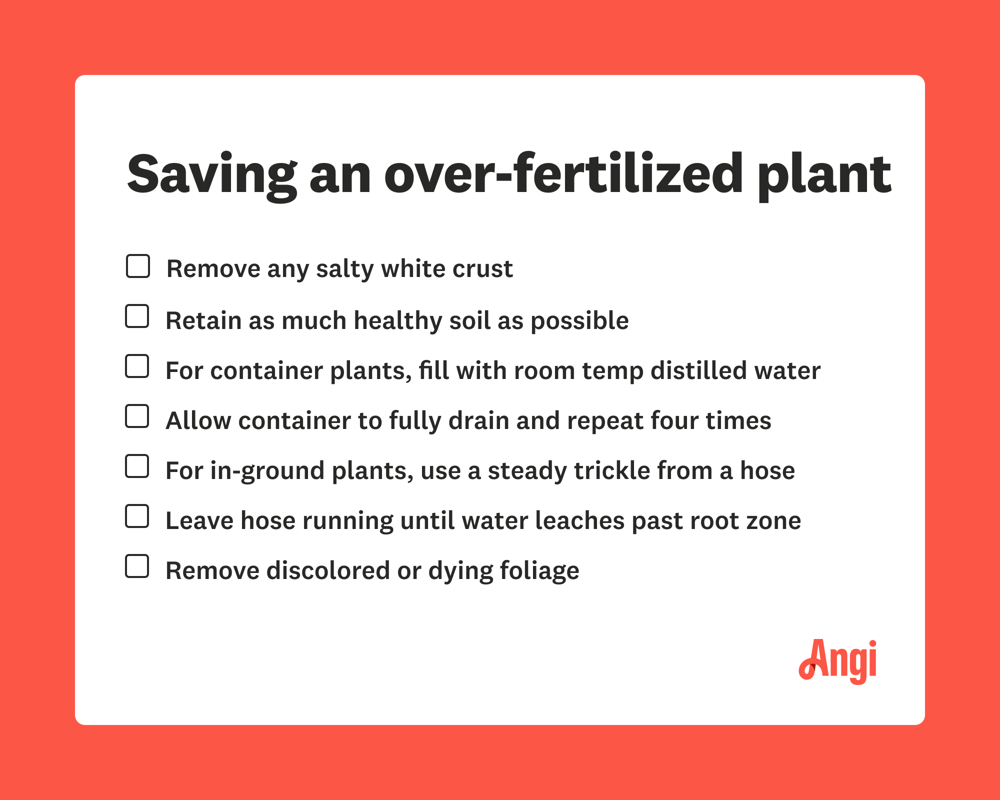 7 ways to help save an over-fertilized plant, including removal of any salty white crust