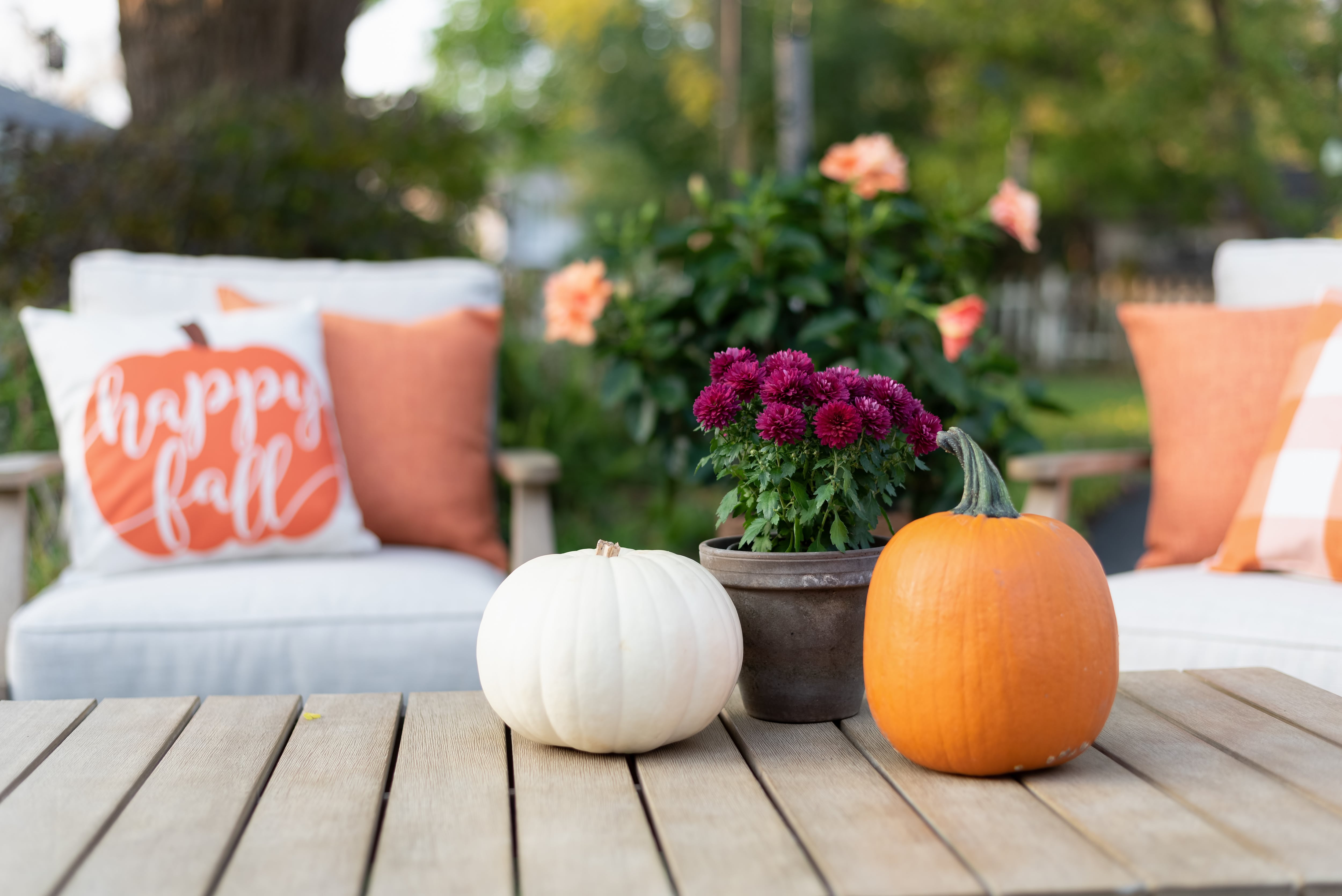 Outdoor fall decor on couch and coffee table