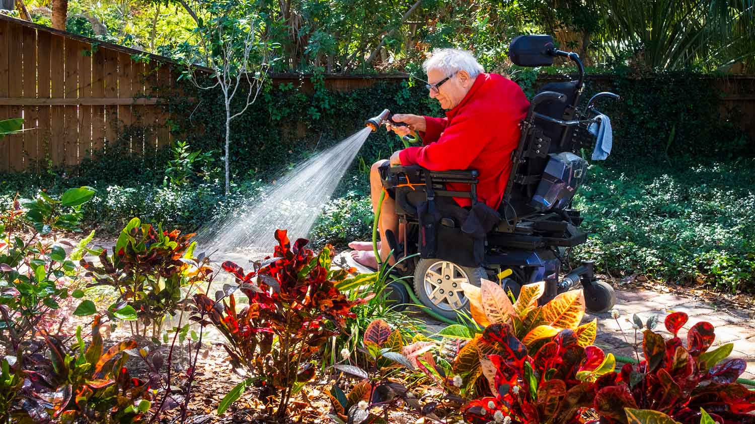 Senior man on wheel chair is watering the plants at home