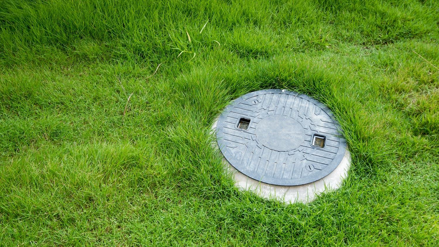 A septic tank system in a yard