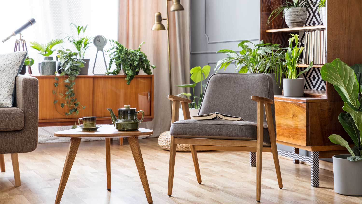 sitting area with lots of different plants