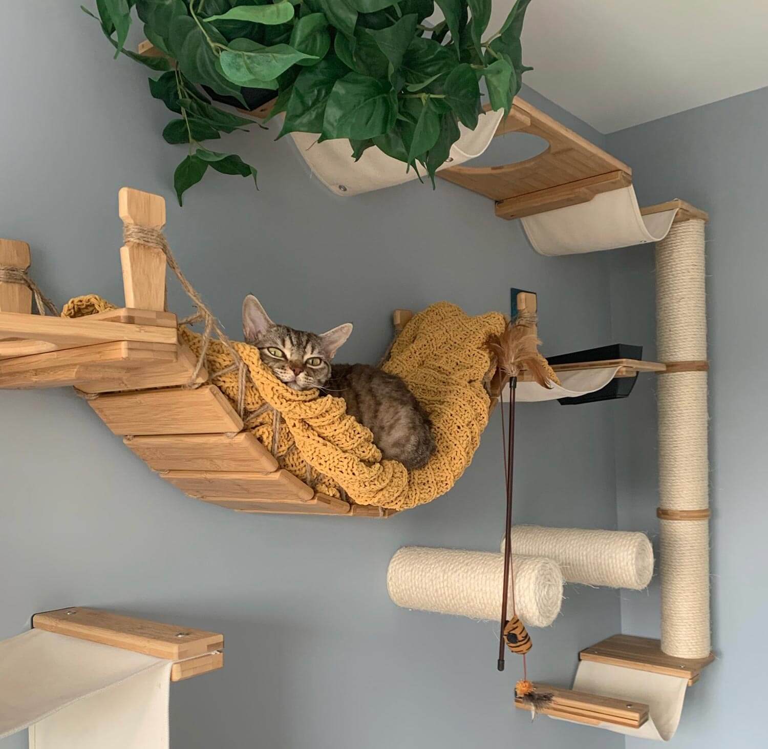 A sleeping and activity space for an apartment cat