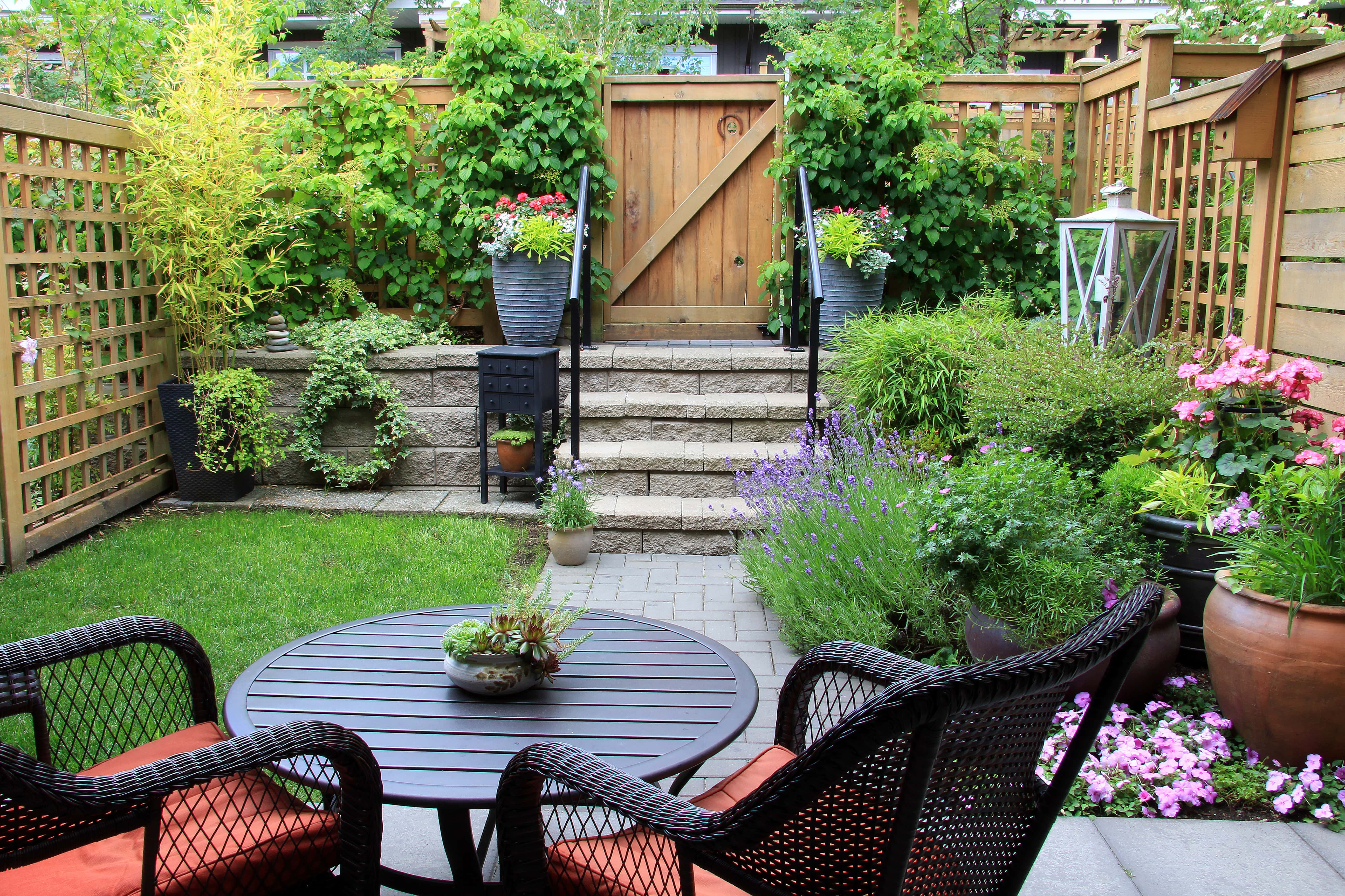 Lush flowers and greenery in backyard garden