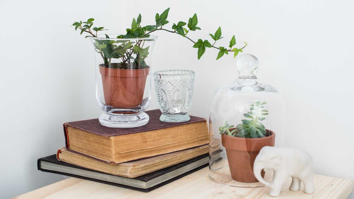 stacked books and greenery