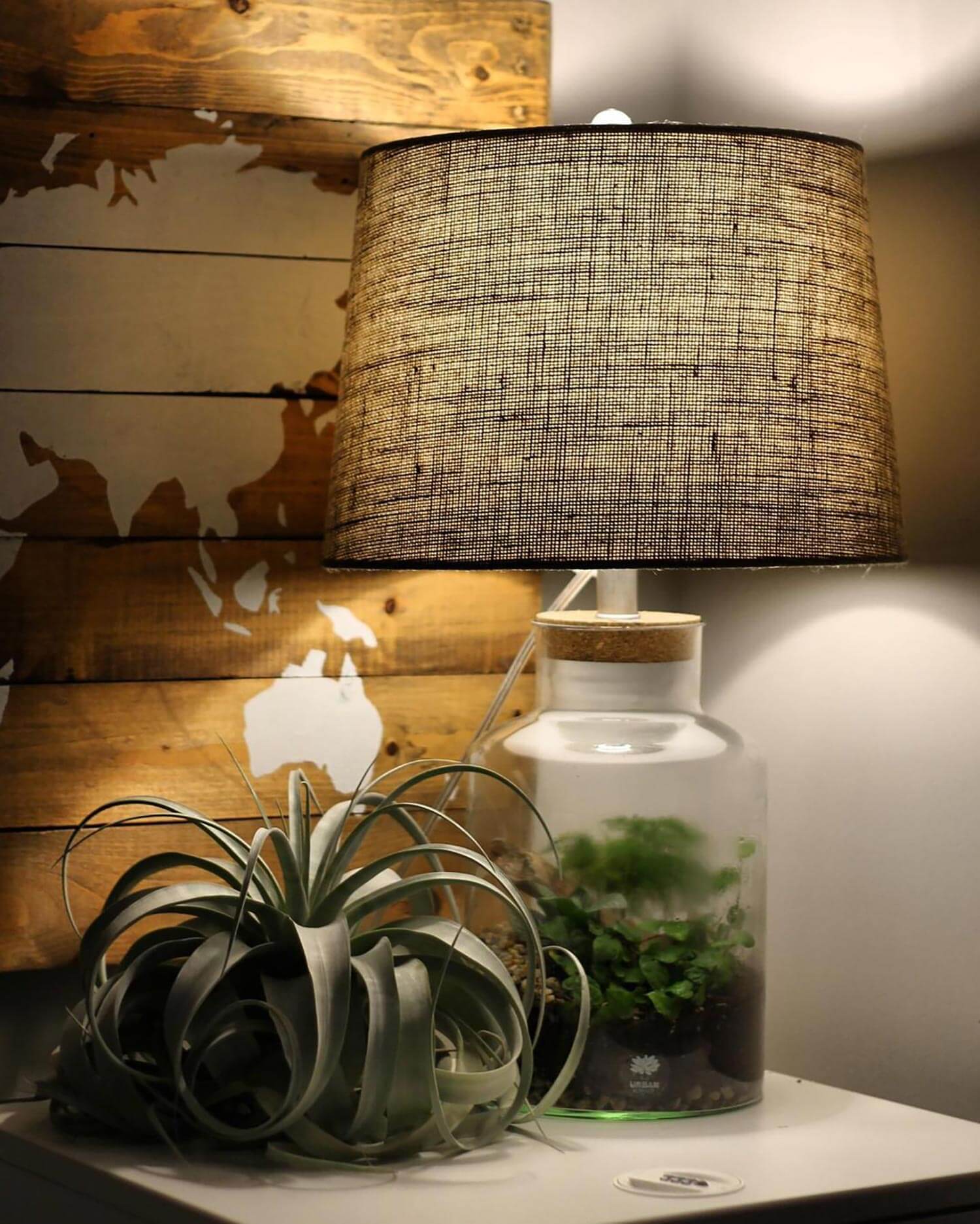 A terrarium turned into a bedside lamp