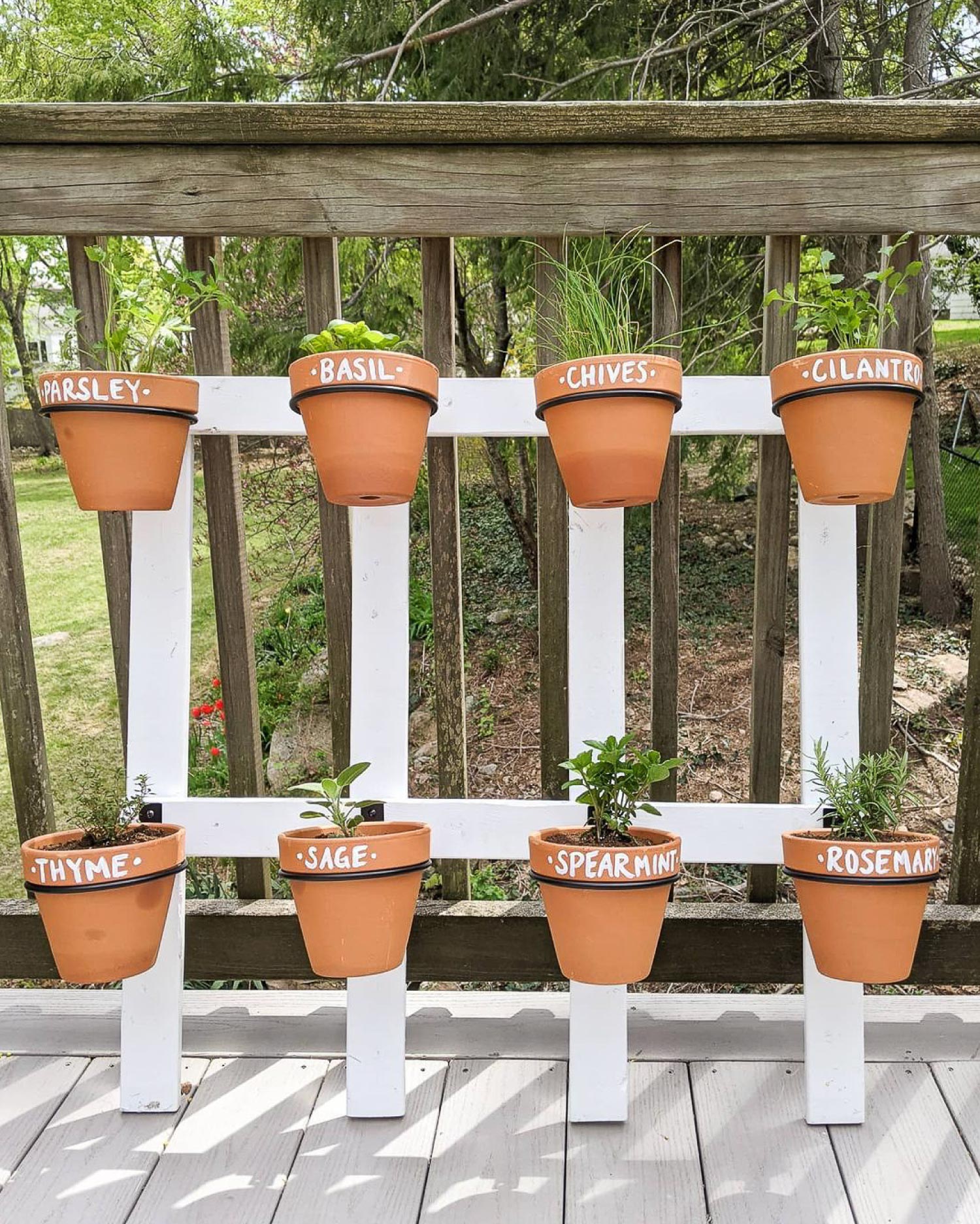 A vertical herb garden terracotta planters