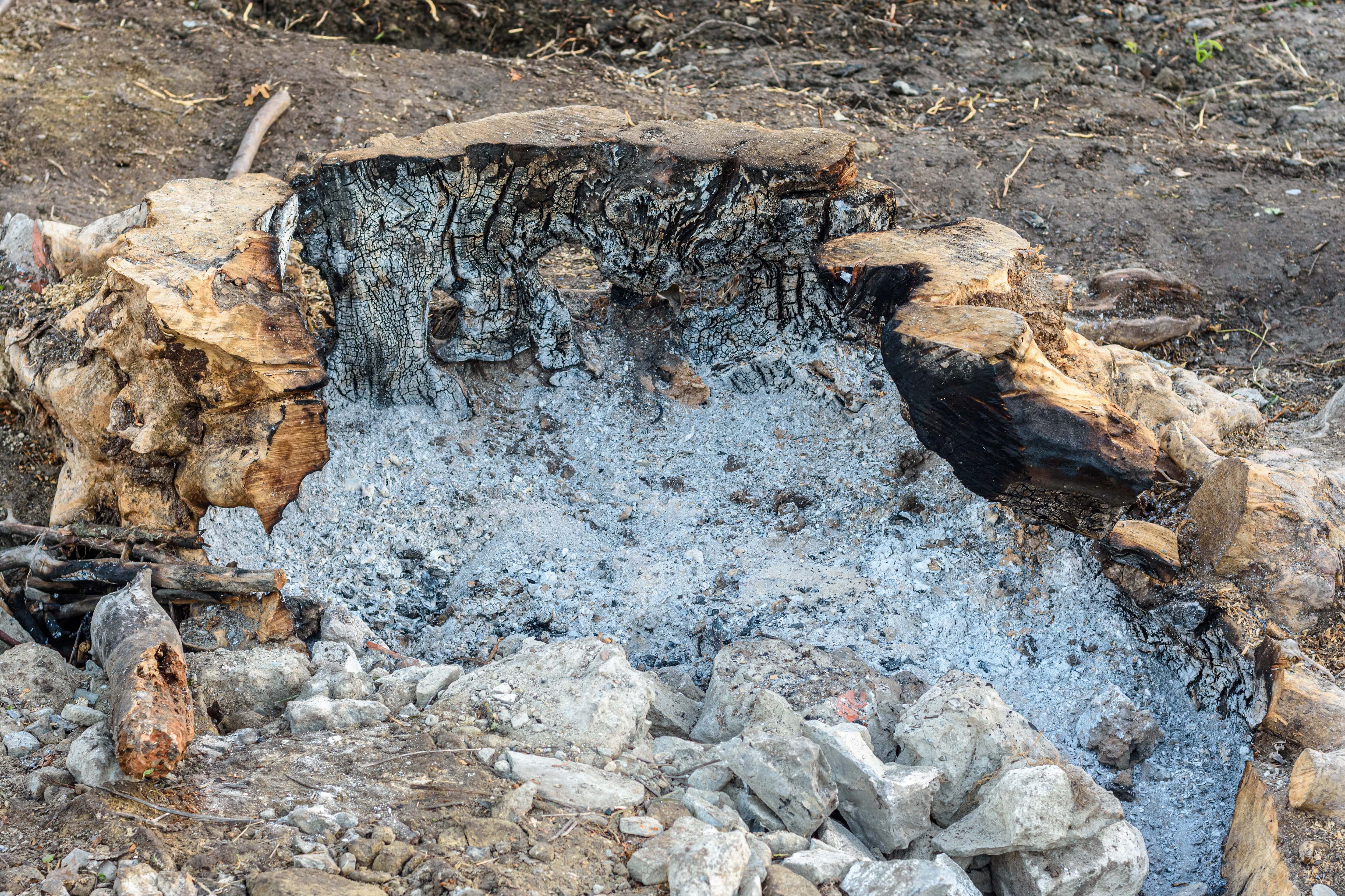 Burning a tree stump to remove it from a yard