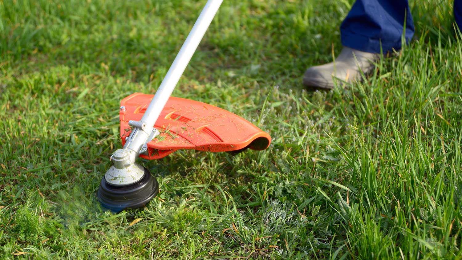 Closeup of a gardener using lawn edger in the yard