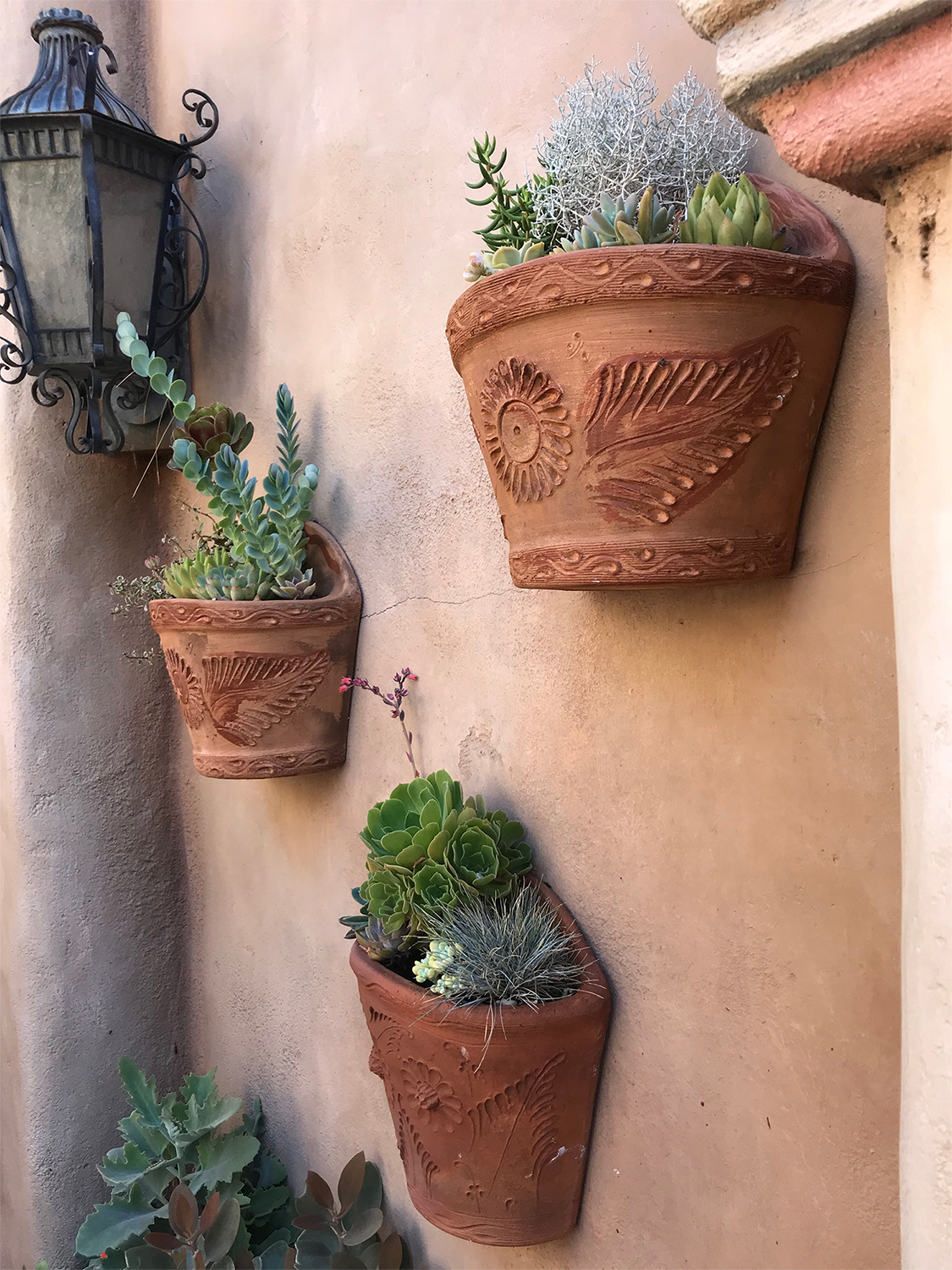 pots hanging on wall