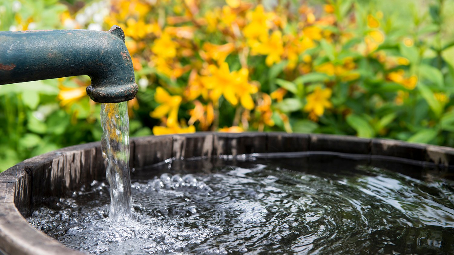 water pump in garden