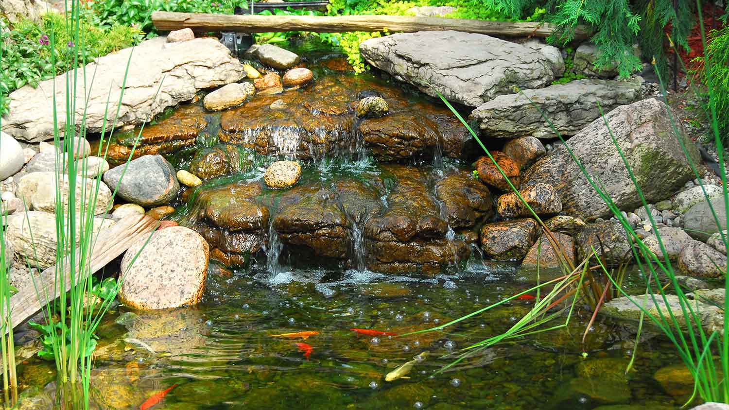 Waterfall with koi fish