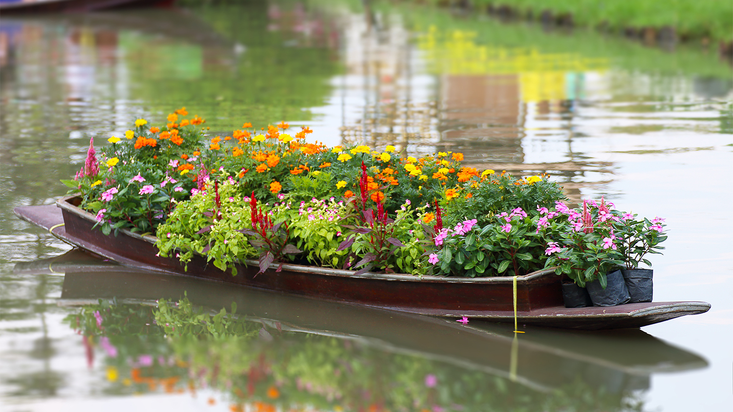 wooden boat with flowers