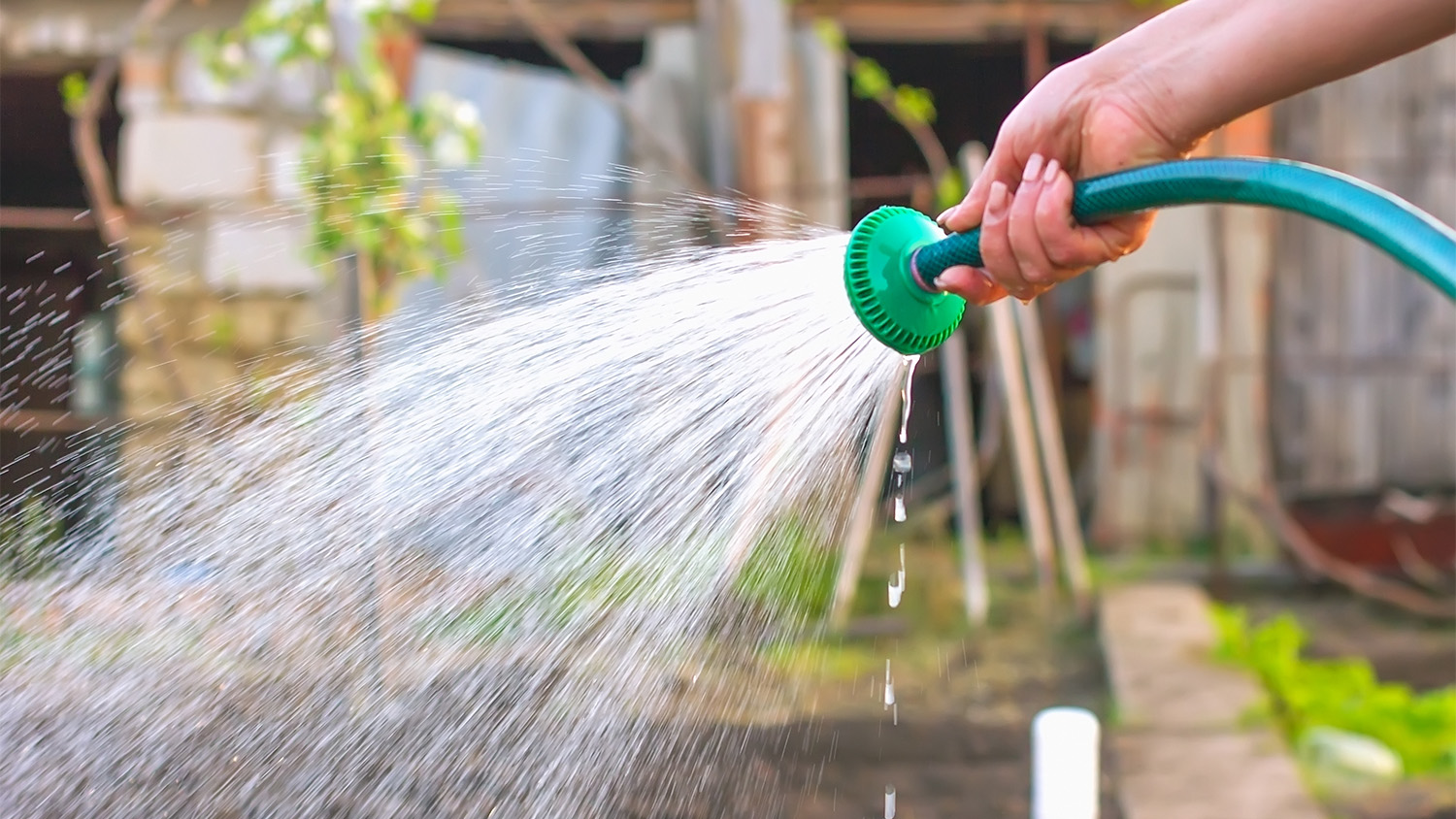 someone watering soil on property