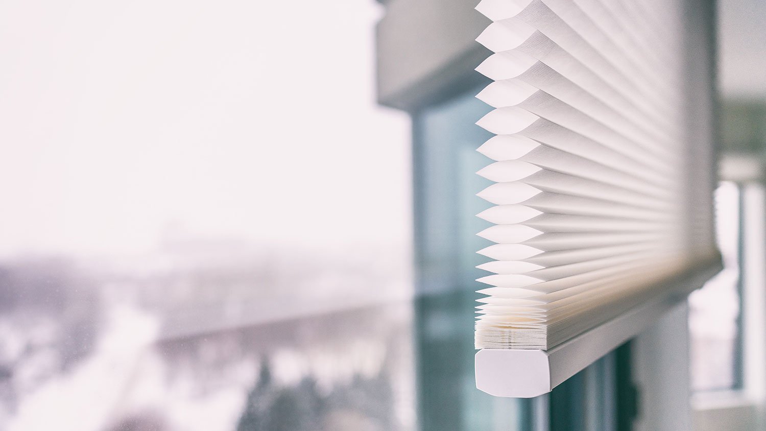 Detail of a white cellular shade on a window