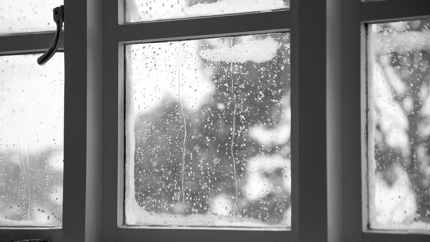 Window panes with condensation during winter