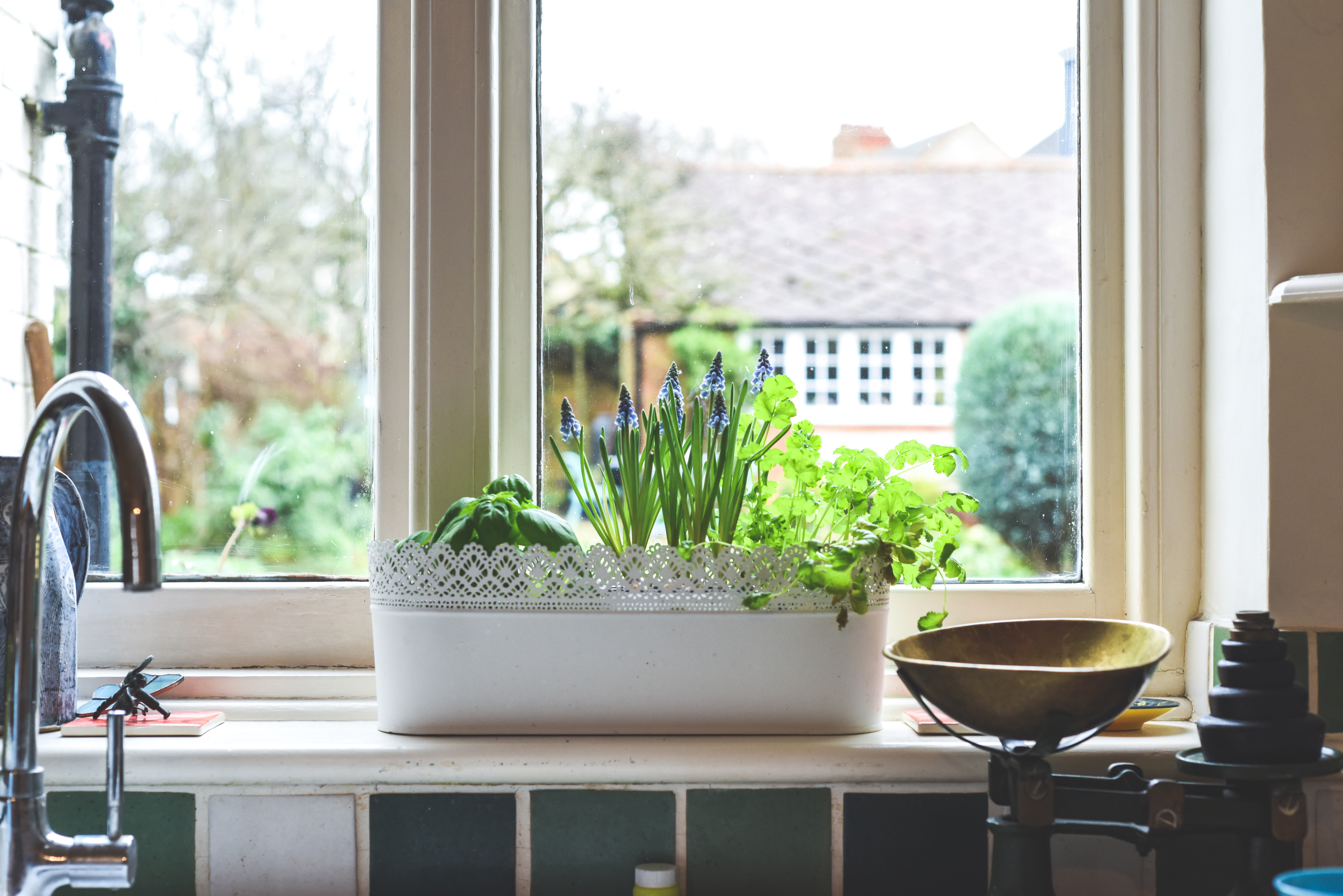 A small garden window box on a kitchen windowsill