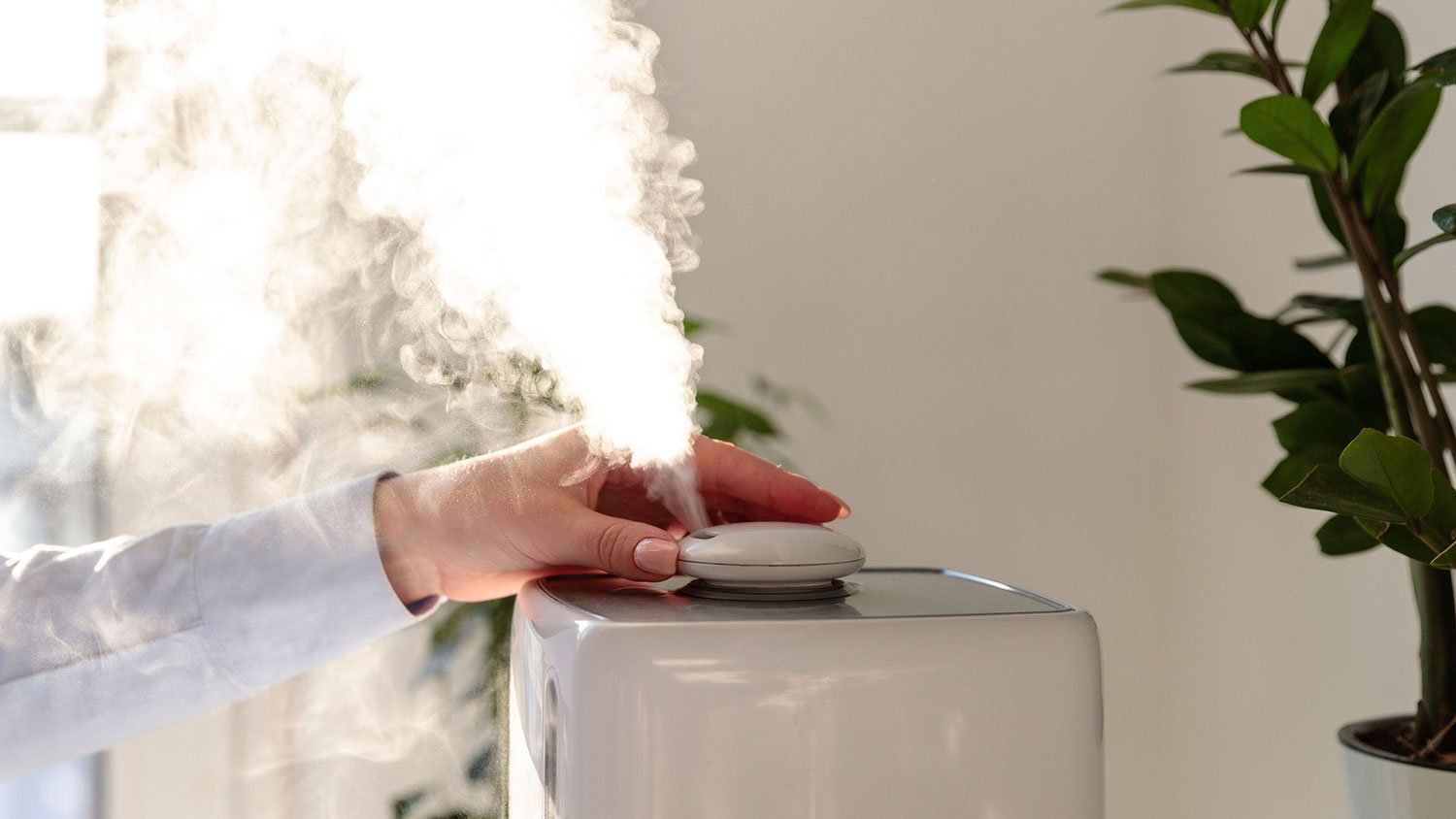 Closeup of a woman adjusting desk humidifier