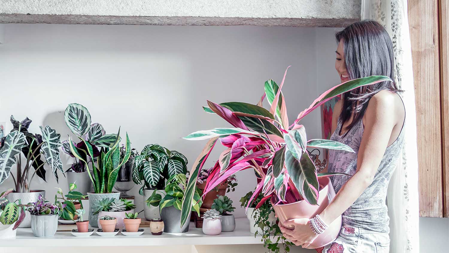 Woman carrying plant