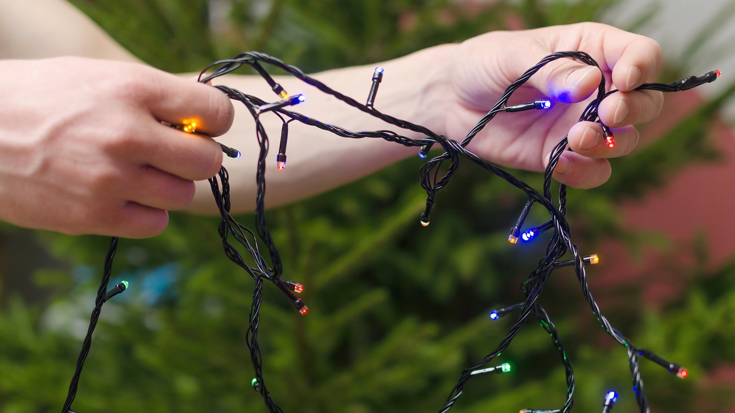 A woman checking the Christmas lights work